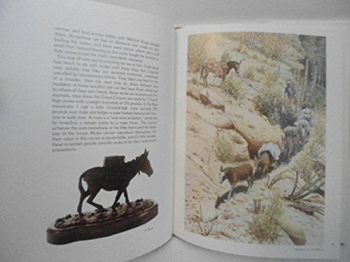 Canon De Los Artistas Deuel, Austin - Wide World Maps & MORE!