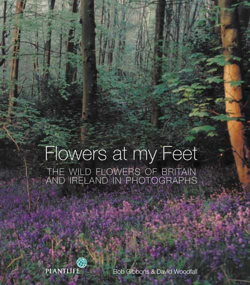 Flowers at My Feet: The Wild Flowers of Britain and Ireland in Photographs Gibbons, Bob and Woodfall, David - Wide World Maps & MORE!