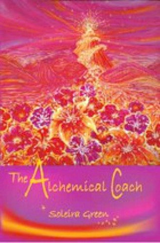 The Alchemical Coach [Paperback] Soleira Green - Wide World Maps & MORE!