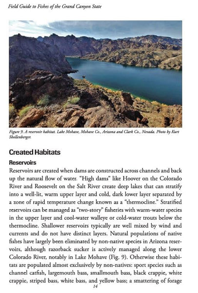 Field Guide to Fishes of the Grand Canyon State Paul C. Marsh, PhD and Robert W. Clarkson - Wide World Maps & MORE!