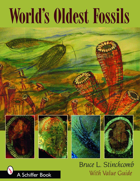 World's Oldest Fossils [Paperback] Stinchcomb, Bruce L. - Wide World Maps & MORE!