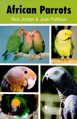 African Parrots [Paperback] Jordan, Rick and Pattison, Jean - Wide World Maps & MORE!