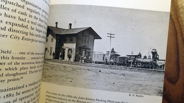 The Journal of Arizona History (Summer 1973, Volume 14) [Paperback] Multiple authors and C. L. Sonnichsen - Wide World Maps & MORE!