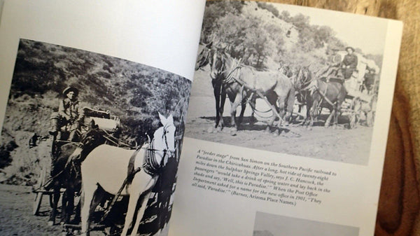 The Journal of Arizona History (Summer 1973, Volume 14) [Paperback] Multiple authors and C. L. Sonnichsen - Wide World Maps & MORE!
