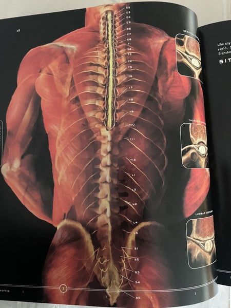 The Architecture and Design of Man and Woman: The Marvel of the Human Body, Revealed Tsiaras, Alexander and Werth, Barry - Wide World Maps & MORE!