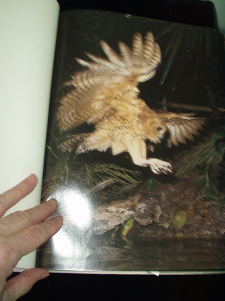 Audubon Book of Water Birds First edition by Line, Les (1998) Hardcover Line, Les - Wide World Maps & MORE!