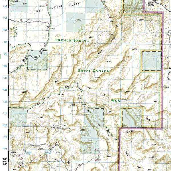 Canyonlands National Park (Trails Illustrated Map 210)