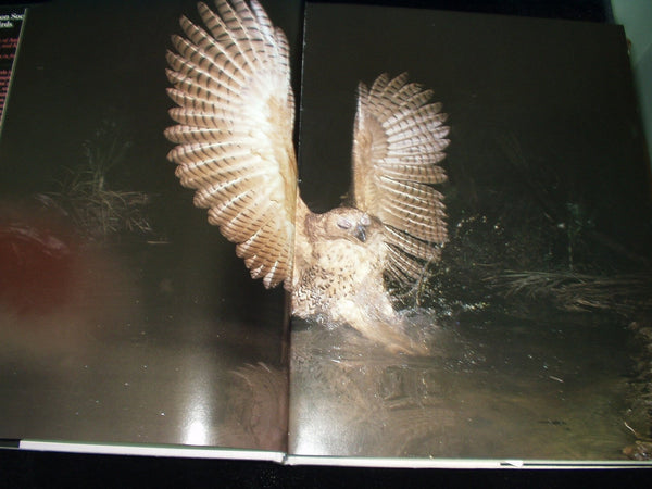 Audubon Book of Water Birds First edition by Line, Les (1998) Hardcover Line, Les - Wide World Maps & MORE!