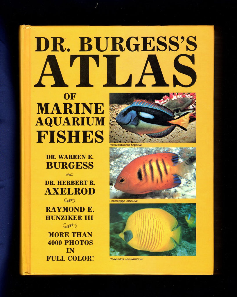 6577458