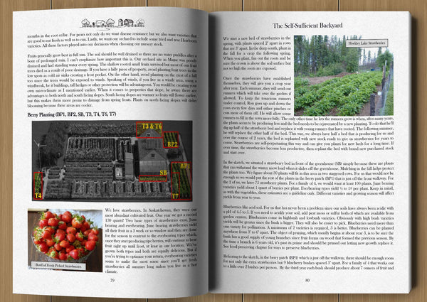 The Self-Sufficient Backyard [Paperback] Ron Melchiore and Johanna Melchiore - Wide World Maps & MORE!