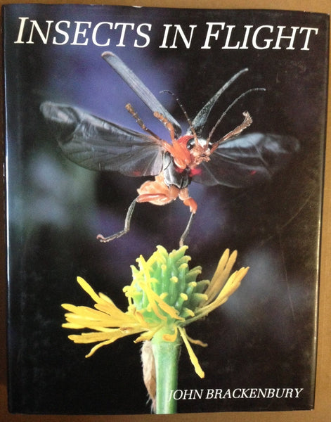 Insects in Flight Brackenbury, John - Wide World Maps & MORE!