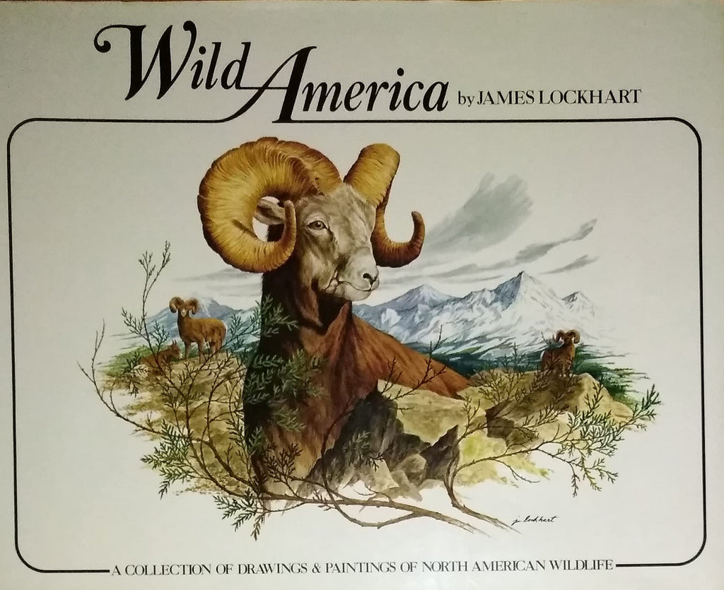6618961