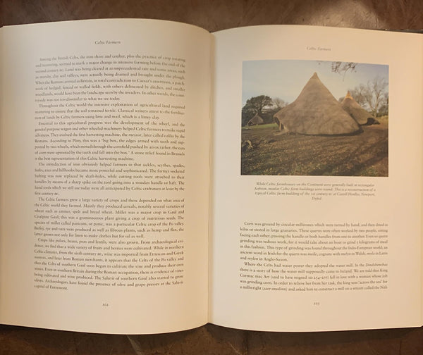 The Ancient World of the Celts: An Illustrated Account (Celtic Interest) [Hardcover] Peter B Ellis - Wide World Maps & MORE!