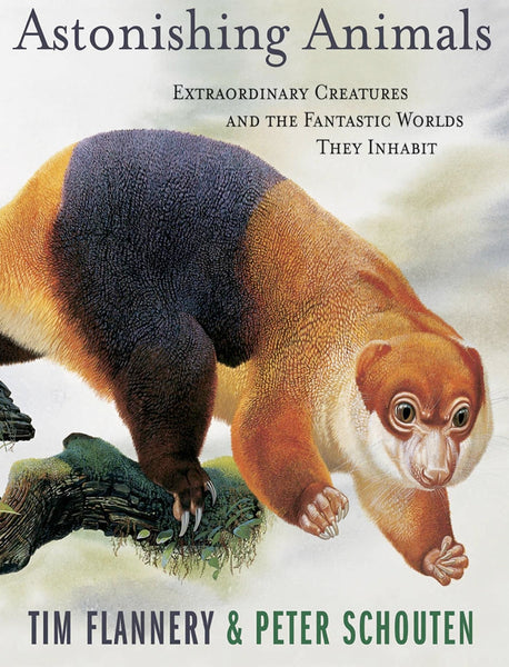Astonishing Animals: Extraordinary Creatures and the Fantastic Worlds They Inhabit [Hardcover] Flannery, Tim and Schouten, Peter - Wide World Maps & MORE!