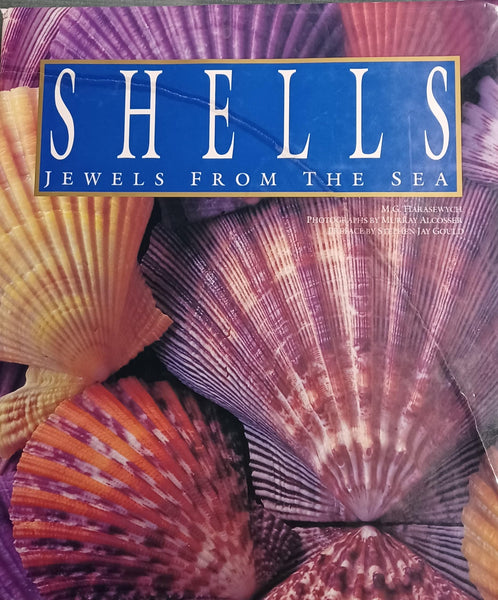Shells M. G. Hawasewych - Wide World Maps & MORE!