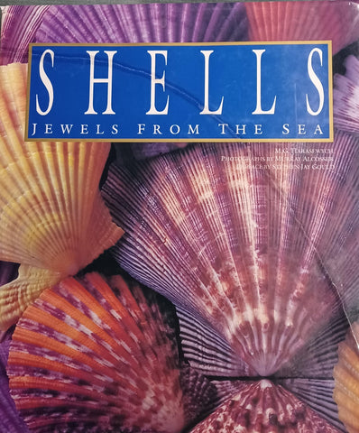 Shells M. G. Hawasewych - Wide World Maps & MORE!