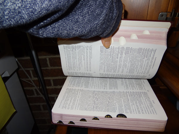 Dorlands Illustrated Medical Dictionary [Paperback] W.A. Newman Dorland - Wide World Maps & MORE!