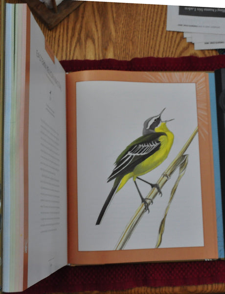 Bird Songs: 250 North American Birds in Song Les Beletsky and Jon L. Dunn - Wide World Maps & MORE!