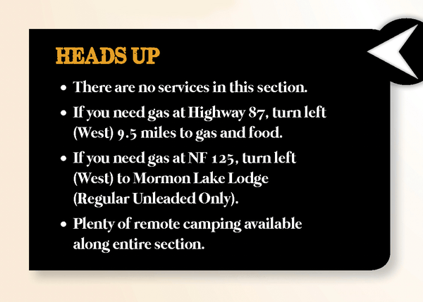 Arizona Backcountry Discovery Route (AZBDR) - Arizona BDR Series Map - Wide World Maps & MORE!