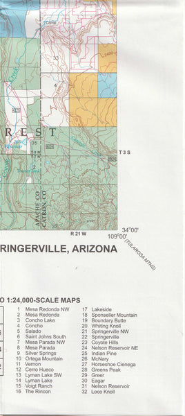 Springerville Surface Management Status 1:100,000-Scale Topographic Map - Wide World Maps & MORE!