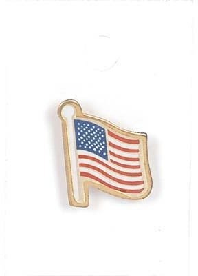American Pride Lapel Pin (1-Pack) - Wide World Maps & MORE! - Home - DDI - Wide World Maps & MORE!