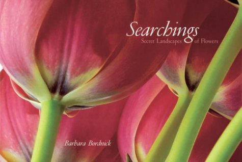 Searchings Bordnick, Barbara - Wide World Maps & MORE!