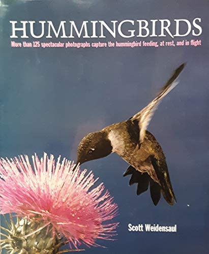 Hummingbirds - Wide World Maps & MORE! - Book - Wide World Maps & MORE! - Wide World Maps & MORE!
