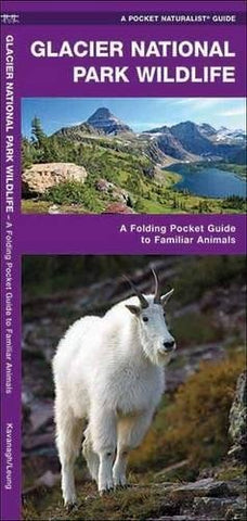Waterton-Glacier International Peace Park Wildlife: A Folding Pocket Guide to Familiar Species (A Pocket Naturalist Guide) - Wide World Maps & MORE! - Book - Kavanagh, James/ Leung, Raymond - Wide World Maps & MORE!