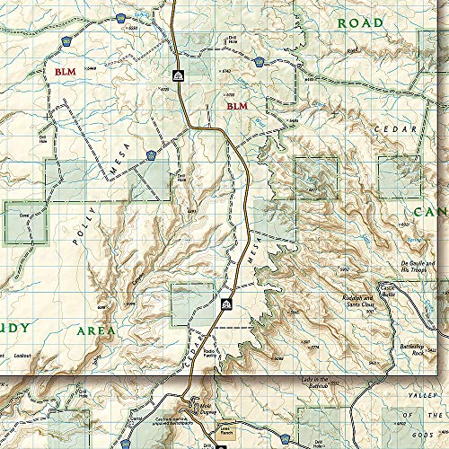 Grand Gulch, Cedar Mesa Plateau [BLM - Monticello Field Office] (National Geographic Trails Illustrated Map, 706) - Wide World Maps & MORE!