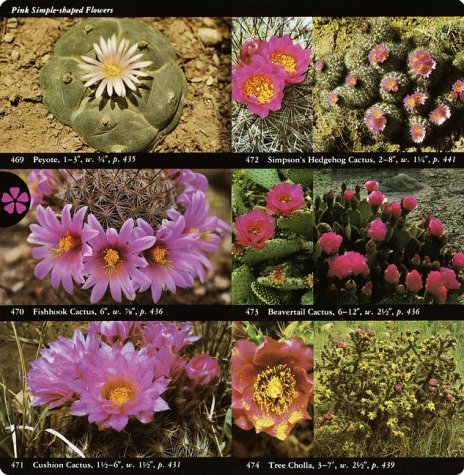 The National Audubon Society Field Guide to North American Wildflowers: Western Region - Wide World Maps & MORE! - Book - Audubon - Wide World Maps & MORE!