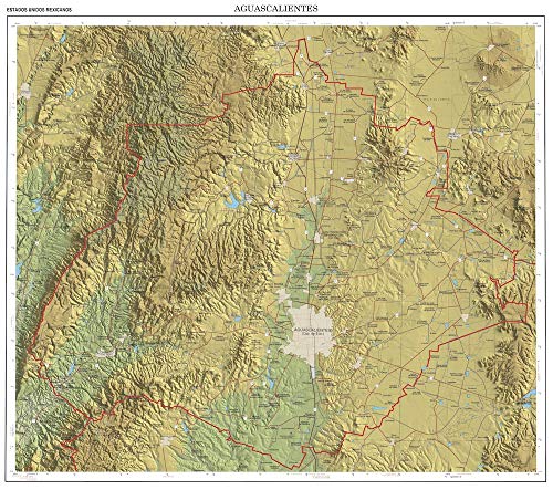 RED VIAL CIUDAD DE AGUASCALIENTES 13 - Wide World Maps & MORE!