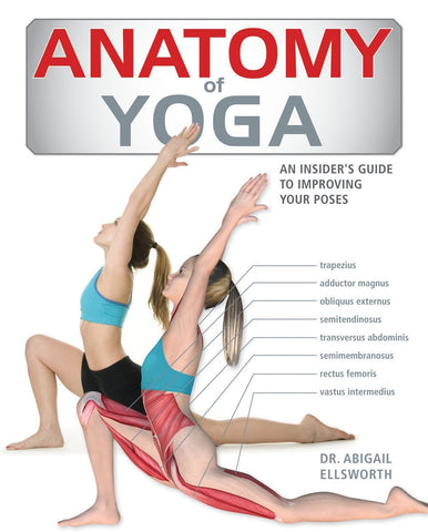 Anatomy of Yoga: An Instructor's Inside Guide to Improving Your Poses - Wide World Maps & MORE!