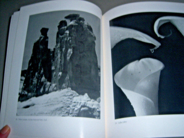 The Magnificent Light [Paperback] GILLUM, Edward - Wide World Maps & MORE!