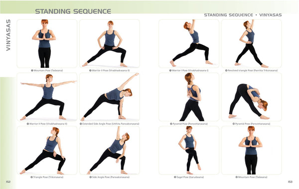 Anatomy of Yoga: An Instructor's Inside Guide to Improving Your Poses - Wide World Maps & MORE!