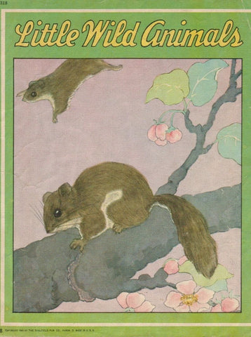 Little Wild Animals - Wide World Maps & MORE! - Book - Wide World Maps & MORE! - Wide World Maps & MORE!