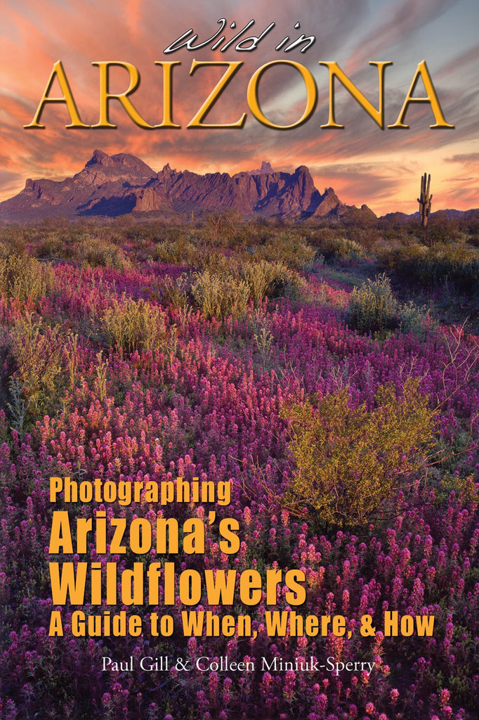 Wild in Arizona: Photographing Arizona's Wildflowers, A Guide to When, Where, and How - Wide World Maps & MORE! - Book - Wide World Maps & MORE! - Wide World Maps & MORE!
