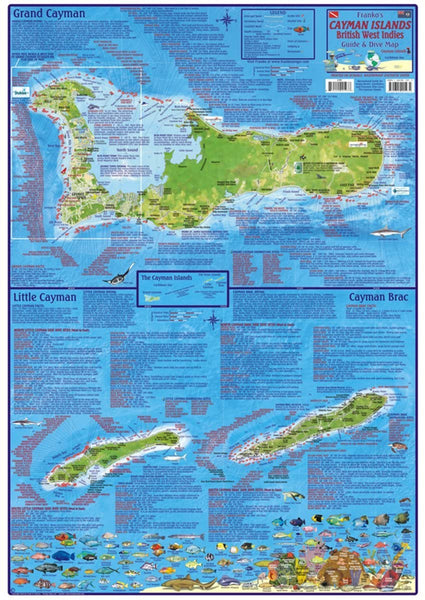 Franko Maps Cayman Islands Dive Creature Guide 18 X 26 Inch - Wide World Maps & MORE!