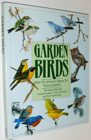 Garden Birds: How to Attract Birds to Your Garden - Wide World Maps & MORE!
