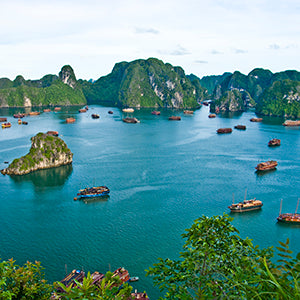 DK Eyewitness Vietnam (Travel Guide) - Wide World Maps & MORE!